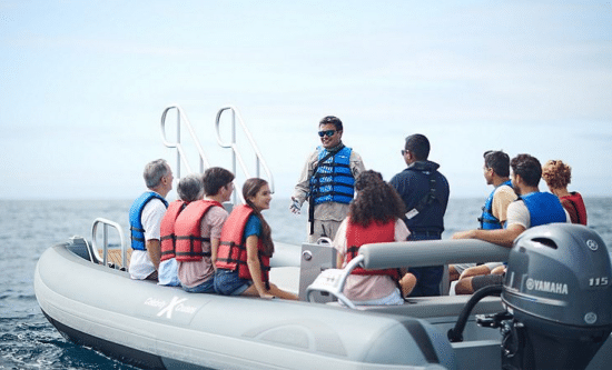 Novurania Yacht Tenders